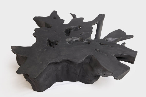 Black Burnt Organic Teak Root Coffee Table 75 - Dyag East