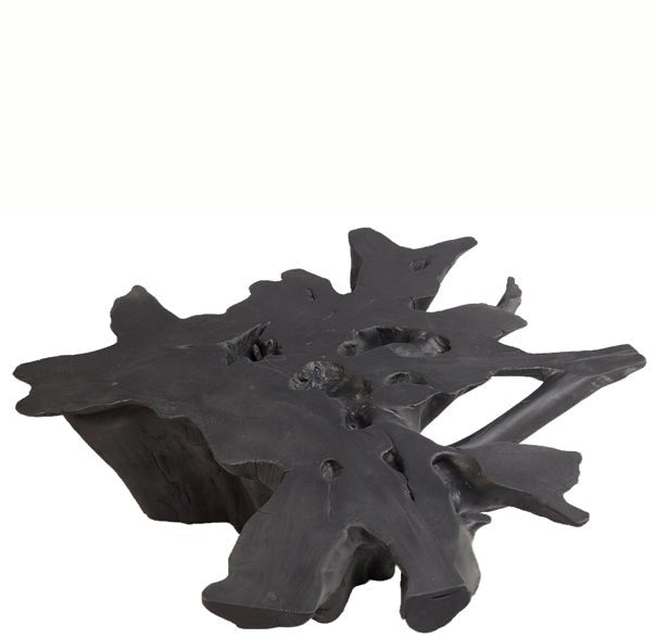 Black Burnt Organic Teak Root Coffee Table 75 - Dyag East