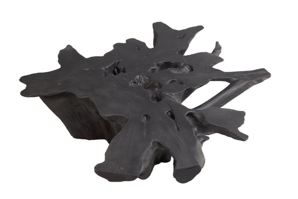 Black Burnt Organic Teak Root Coffee Table 75 - Dyag East