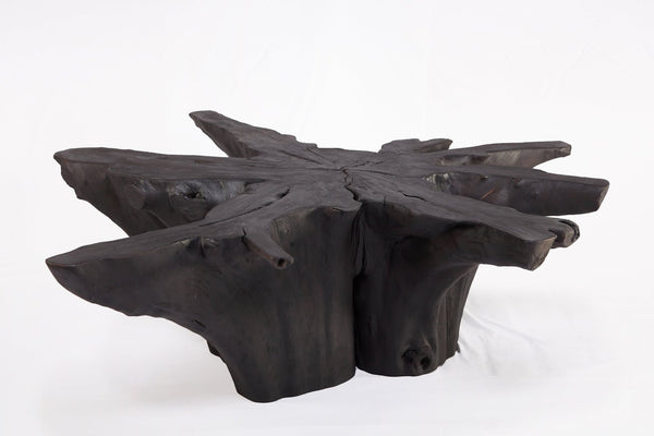 Black Burnt Organic Teak Root Coffee Table 81 - Dyag East