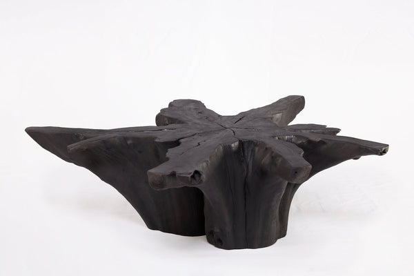 Black Burnt Organic Teak Root Coffee Table 81 - Dyag East