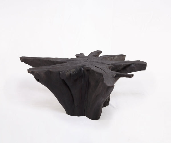 Black Burnt Organic Teak Root Coffee Table 81 - Dyag East