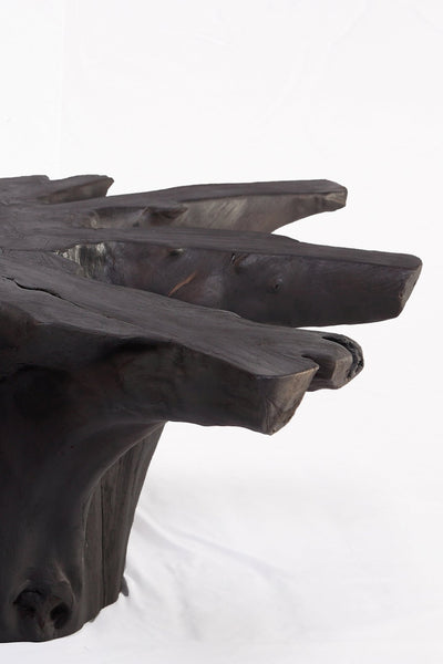 Black Burnt Organic Teak Root Coffee Table 81 - Dyag East
