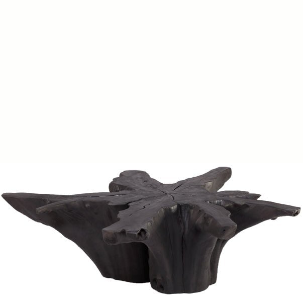 Black Burnt Organic Teak Root Coffee Table 81 - Dyag East