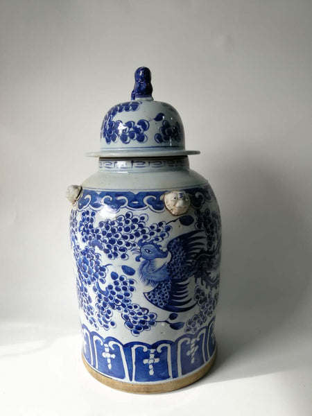 Blue and White Phoenix Porcelain Ginger Jar - Dyag East