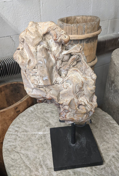 Fossil Scholar Stone - Dyag East