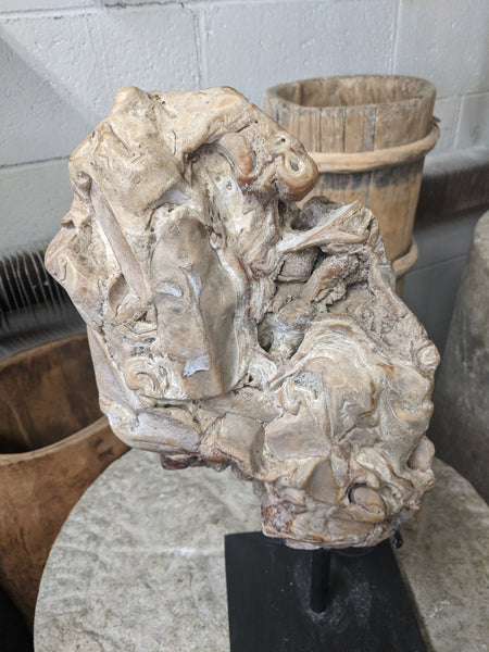 Fossil Scholar Stone - Dyag East