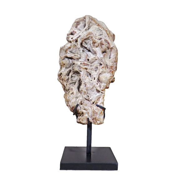 Fossil Scholar Stone - Dyag East