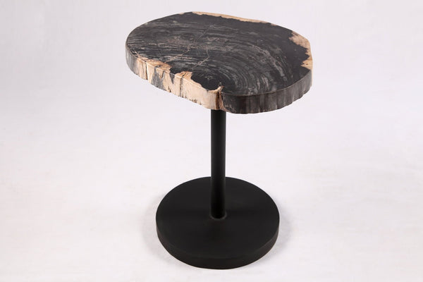 Living Edge Petrified Wood Top w Black Metal Stand Accent Table or Side Table 53 - Dyag East