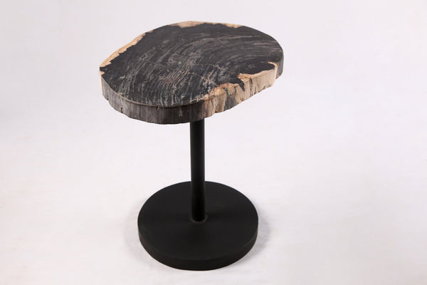 Living Edge Petrified Wood Top w Black Metal Stand Accent Table or Side Table 53 - Dyag East