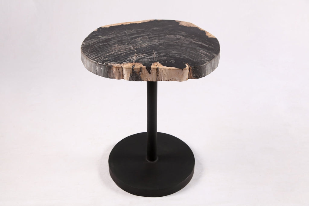 Living Edge Petrified Wood Top w Black Metal Stand Accent Table or Side Table 53 - Dyag East