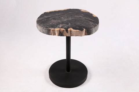 Living Edge Petrified Wood Top w Black Metal Stand Accent Table or Side Table 53 - Dyag East