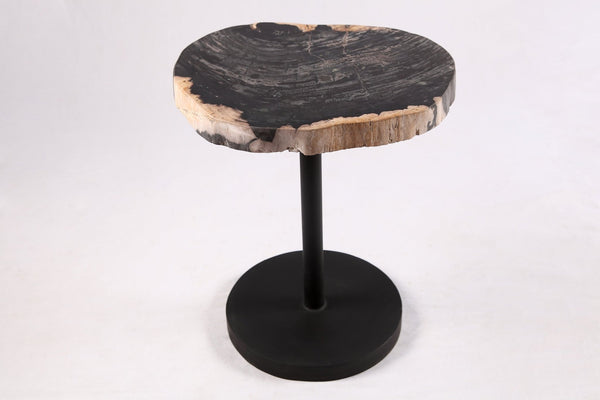 Living Edge Petrified Wood Top w Black Metal Stand Accent Table or Side Table 53 - Dyag East