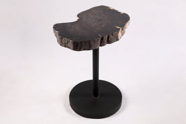 Living Edge Petrified Wood Top w Black Metal Stand Accent Table or Side Table 54 - Dyag East
