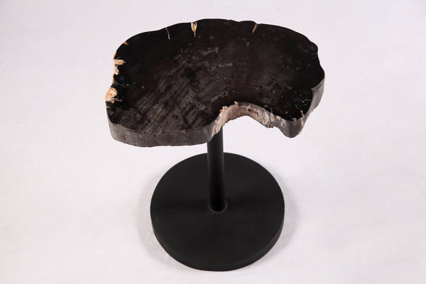 Living Edge Petrified Wood Top w Black Metal Stand Accent Table or Side Table 54 - Dyag East