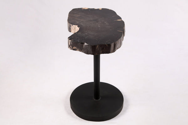Living Edge Petrified Wood Top w Black Metal Stand Accent Table or Side Table 54 - Dyag East