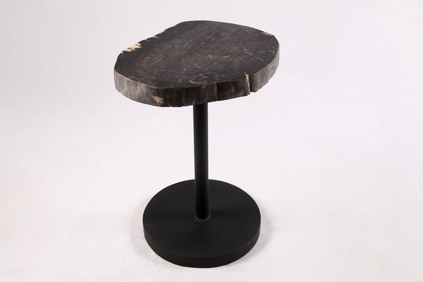 Living Edge Petrified Wood Top w Black Metal Stand Accent Table or Side Table 55 - Dyag East