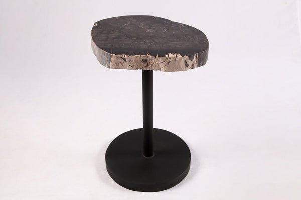 Living Edge Petrified Wood Top w Black Metal Stand Accent Table or Side Table 55 - Dyag East