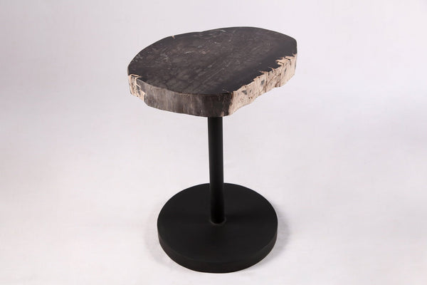Living Edge Petrified Wood Top w Black Metal Stand Accent Table or Side Table 55 - Dyag East