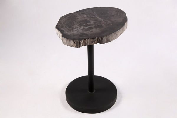 Living Edge Petrified Wood Top w Black Metal Stand Accent Table or Side Table 59 - Dyag East