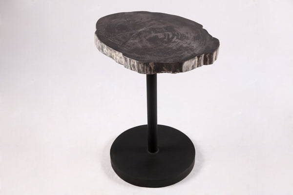 Living Edge Petrified Wood Top w Black Metal Stand Accent Table or Side Table 59 - Dyag East
