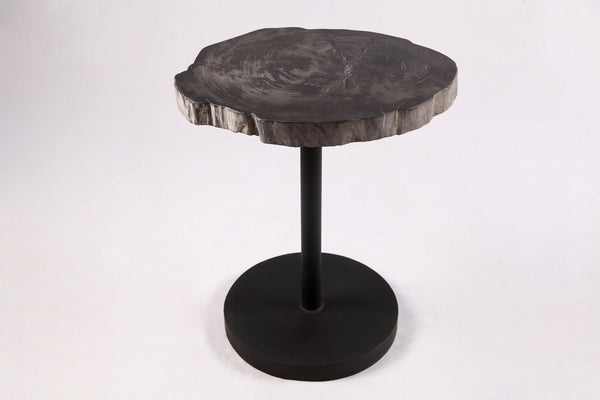 Living Edge Petrified Wood Top w Black Metal Stand Accent Table or Side Table 59 - Dyag East