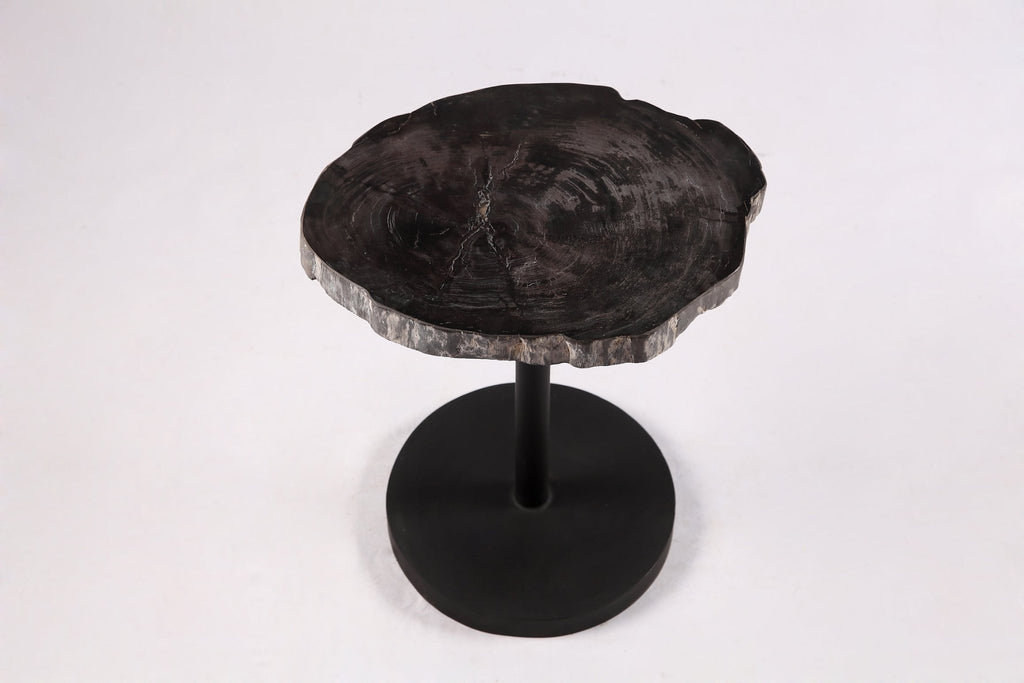 Living Edge Petrified Wood Top w Black Metal Stand Accent Table or Side Table 59 - Dyag East