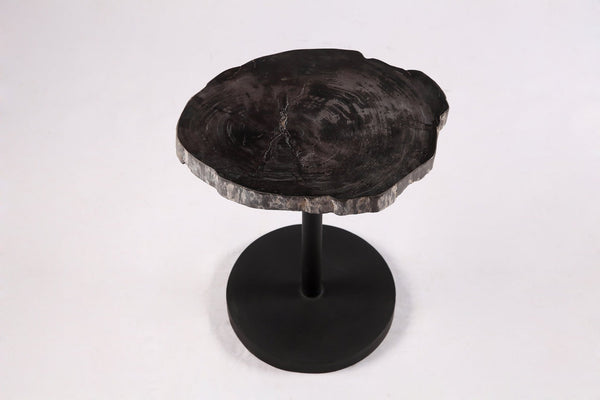 Living Edge Petrified Wood Top w Black Metal Stand Accent Table or Side Table 59 - Dyag East