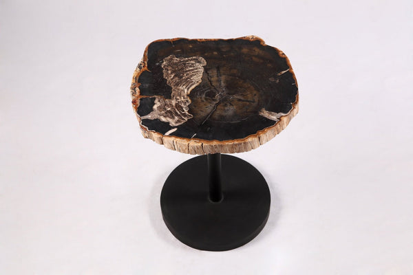 Living Edge Petrified Wood Top w Black Metal Stand Accent Table or Side Table 62 - Dyag East