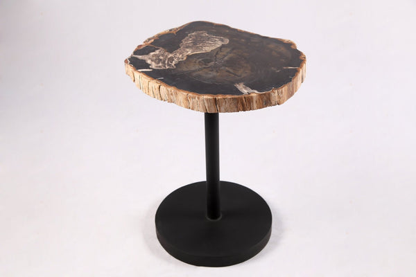 Living Edge Petrified Wood Top w Black Metal Stand Accent Table or Side Table 62 - Dyag East