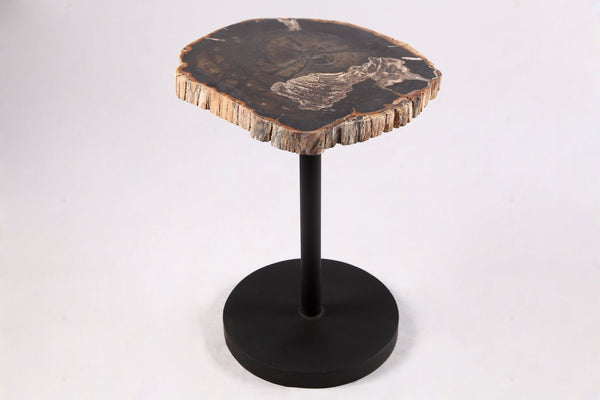 Living Edge Petrified Wood Top w Black Metal Stand Accent Table or Side Table 62 - Dyag East
