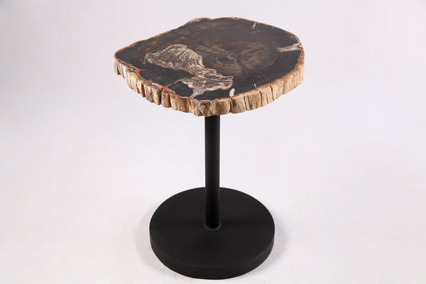 Living Edge Petrified Wood Top w Black Metal Stand Accent Table or Side Table 62 - Dyag East