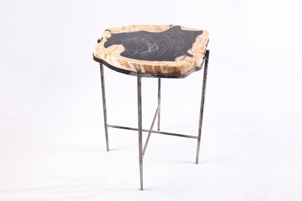 Living Edge Petrified Wood Top w Iron Stand Accent Table or Side Table 43 - Dyag East