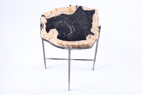Living Edge Petrified Wood Top w Iron Stand Accent Table or Side Table 43 - Dyag East