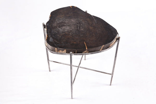Living Edge Petrified Wood Top w Iron Stand Accent Table or Side Table 45 - Dyag East