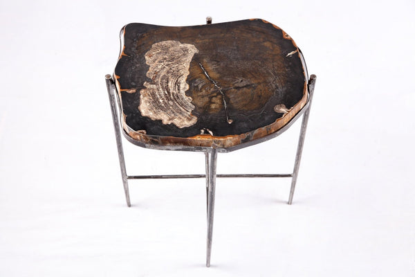 Living Edge Petrified Wood Top w Iron Stand Accent Table or Side Table 49 - Dyag East
