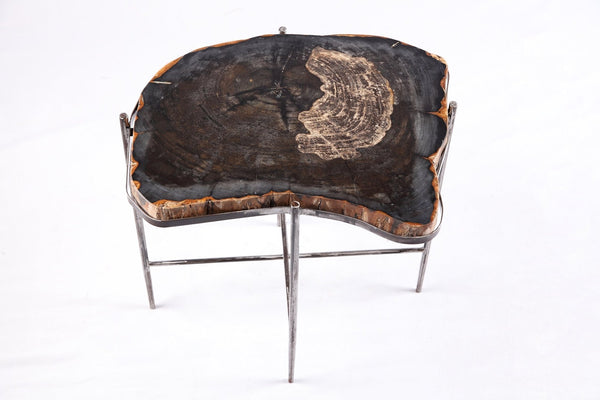 Living Edge Petrified Wood Top w Iron Stand Accent Table or Side Table 52 - Dyag East