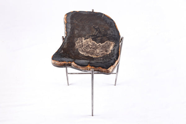 Living Edge Petrified Wood Top w Iron Stand Accent Table or Side Table 52 - Dyag East