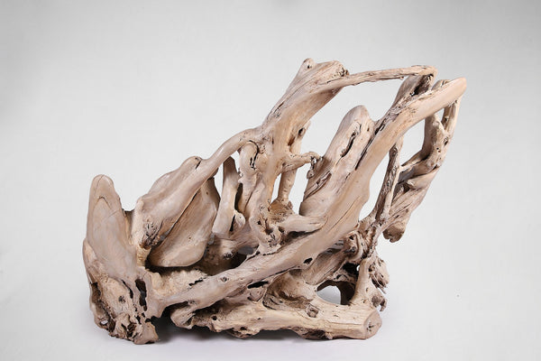 Modern Free Form Teak Root Chair/Bench 29 - Dyag East