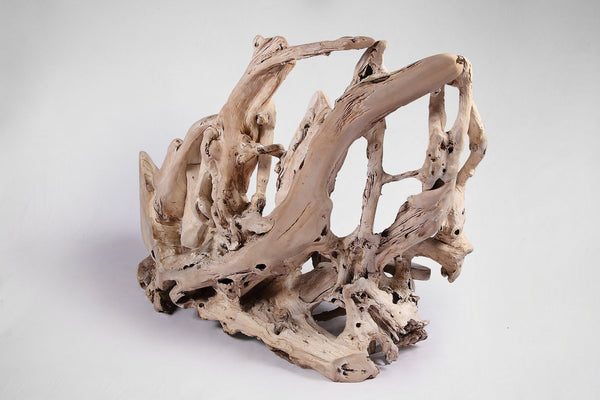 Modern Free Form Teak Root Chair/Bench 29 - Dyag East