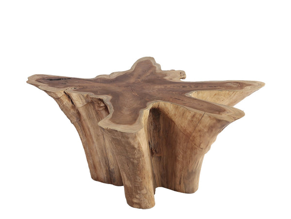 Natural Wood Color Organic Teak Root Coffee Table 69 - Dyag East