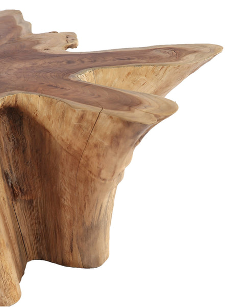 Natural Wood Color Organic Teak Root Coffee Table 69 - Dyag East