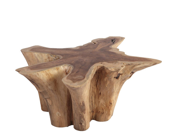 Natural Wood Color Organic Teak Root Coffee Table 69 - Dyag East