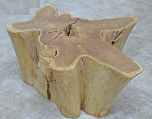 Nature Wood Color Organic Teak Root Accent or Coffee Table 47 - Dyag East