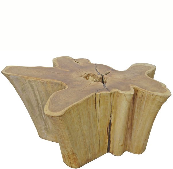 Nature Wood Color Organic Teak Root Accent or Coffee Table 47 - Dyag East