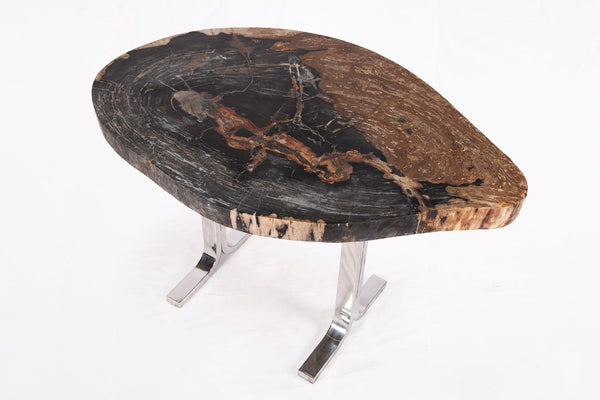 One Slab Living Edge Petrified Wood Console Table w Stainless Stand 52 - Dyag East