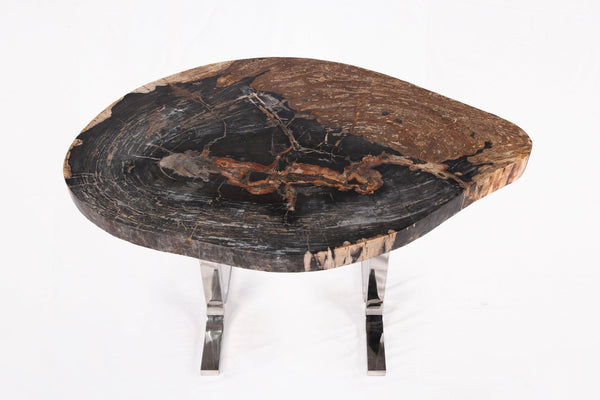 One Slab Living Edge Petrified Wood Console Table w Stainless Stand 52 - Dyag East