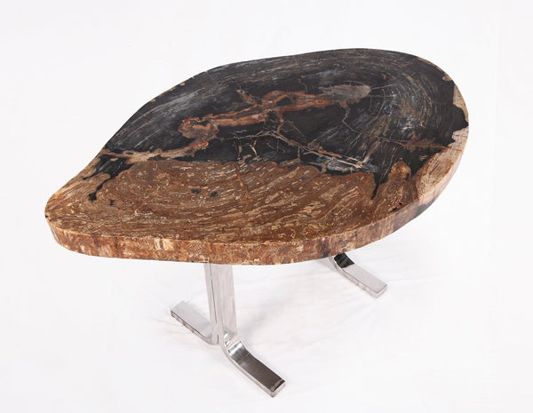 One Slab Living Edge Petrified Wood Console Table w Stainless Stand 52 - Dyag East