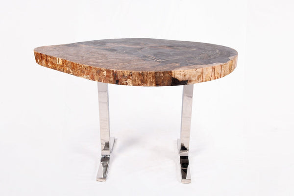 One Slab Living Edge Petrified Wood Console Table w Stainless Stand 52 - Dyag East