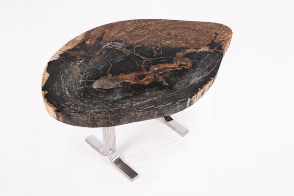 One Slab Living Edge Petrified Wood Console Table w Stainless Stand 52 - Dyag East